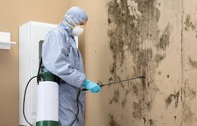 Best Residential Mold Inspection & Testing  in Ardsley, NY